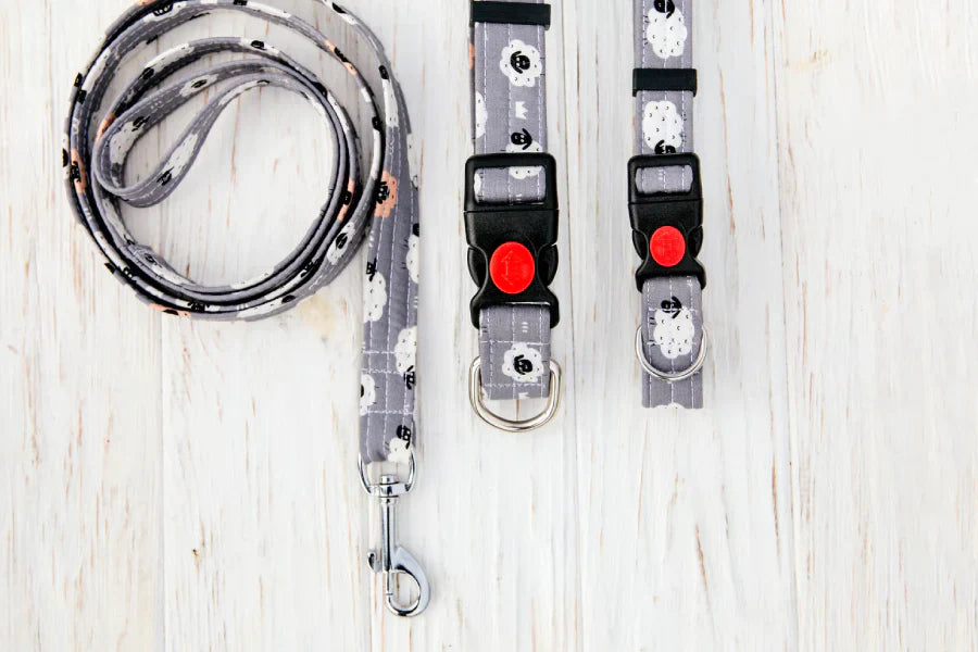 Collar + Leash Sets