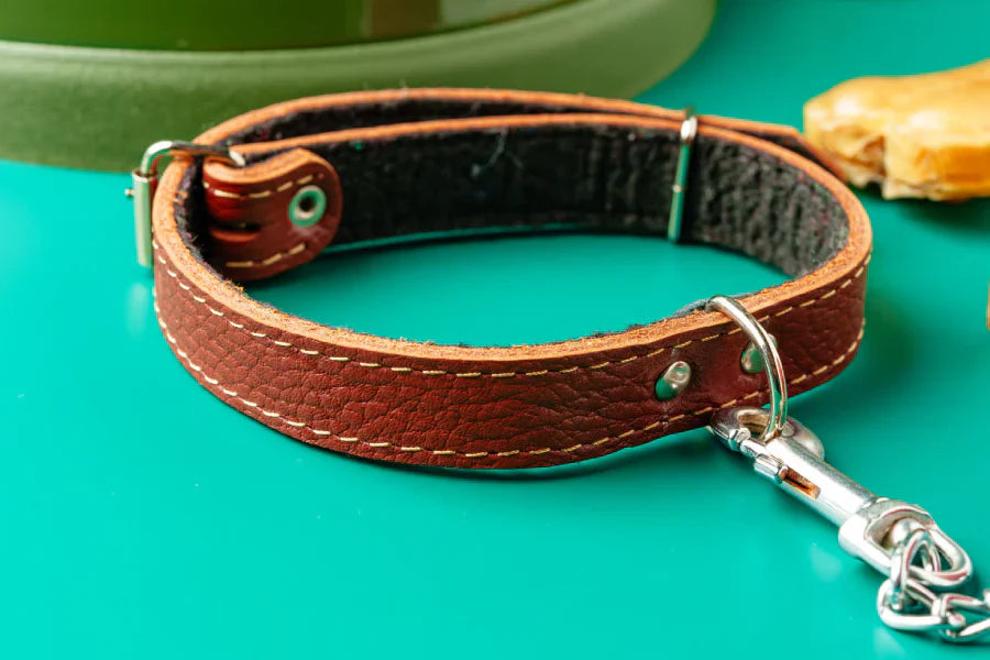 Leather Working Dog Collars