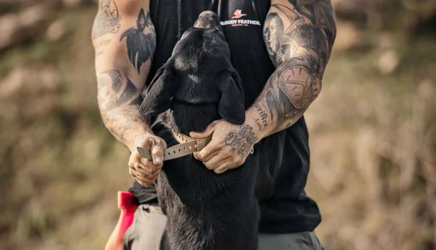 Tough Collars: How to Choose a Dog Collar That Actually Holds Up