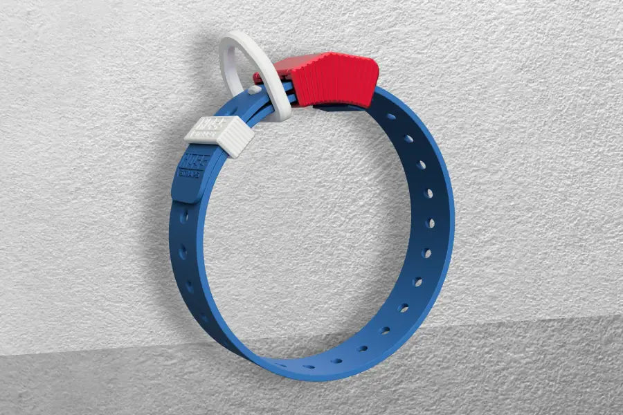 Adjustable Everyday Dog Collars: What Actually Holds Up for Daily Wear