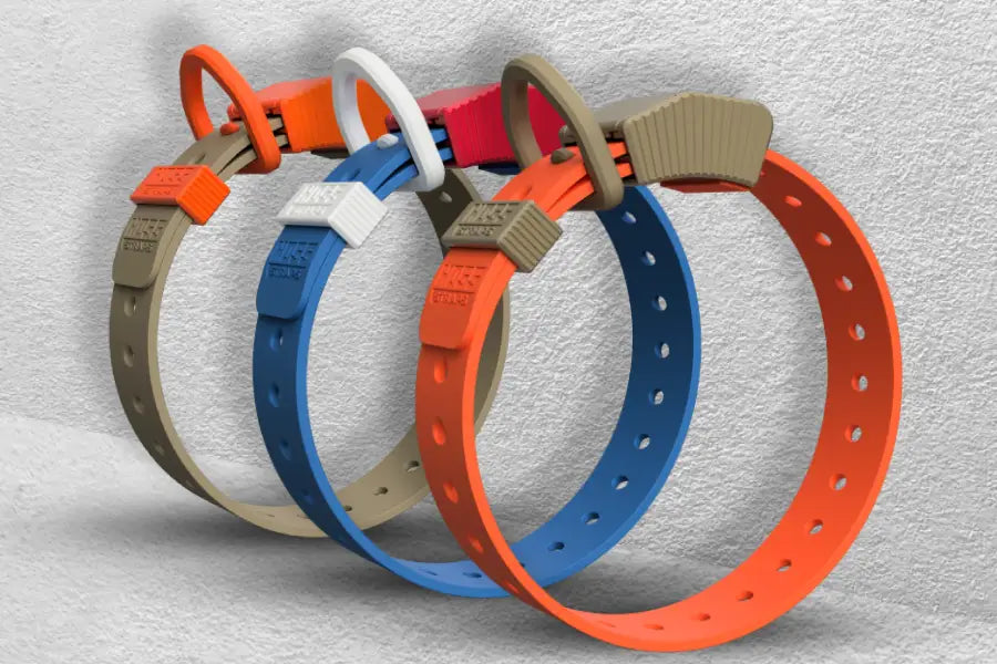 Matching Collar and Harness Sets: How to Coordinate Gear That Looks Good and Works Better