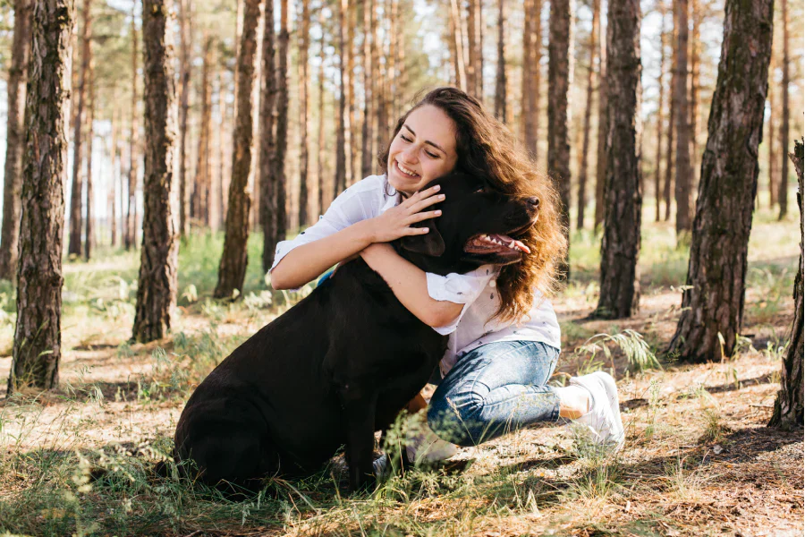 How to Put a Collar on a Dog Safely When They Won't Stay Still