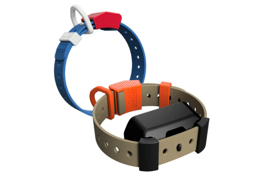 Different Types of Dog Collars and When to Use Each One