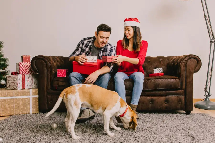 Giftable Dog Collar Sets: How to Get the Fit Right (and Keep Exchanges Easy)