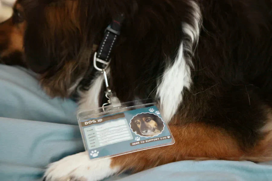 DOG ID