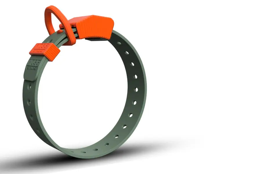 Extra-Durable Everyday Dog Collars: Strength Features That Hold Up