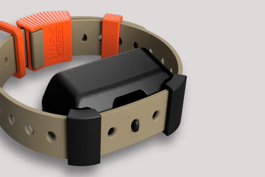 How to Train Your Dog on a Shock Collar