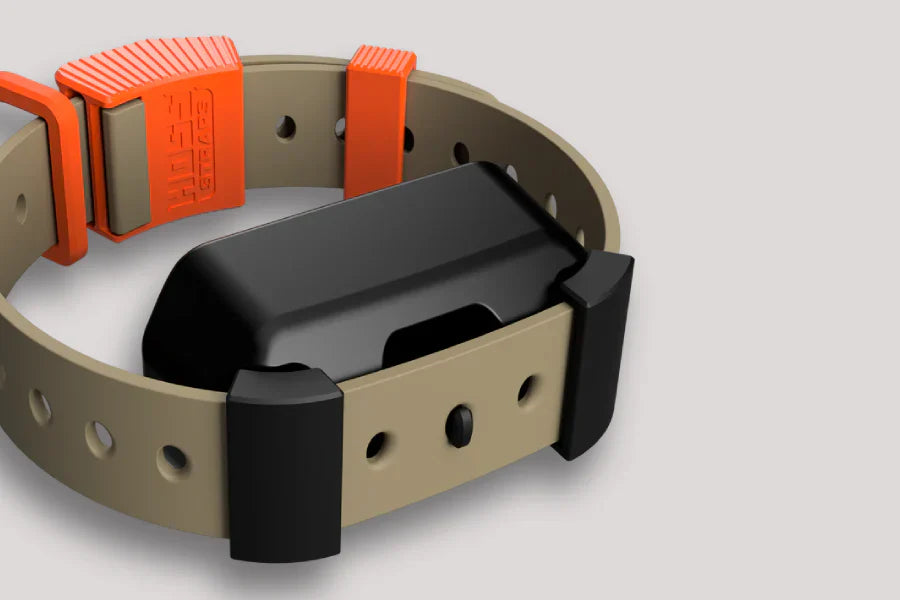 How to Train Your Dog on a Shock Collar