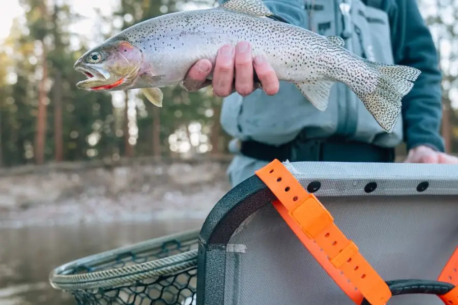 How Fishing Straps Enhance Your Fishing Experience?