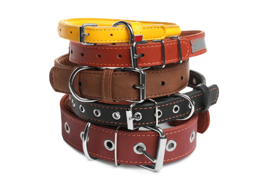 metal buckle dog collars