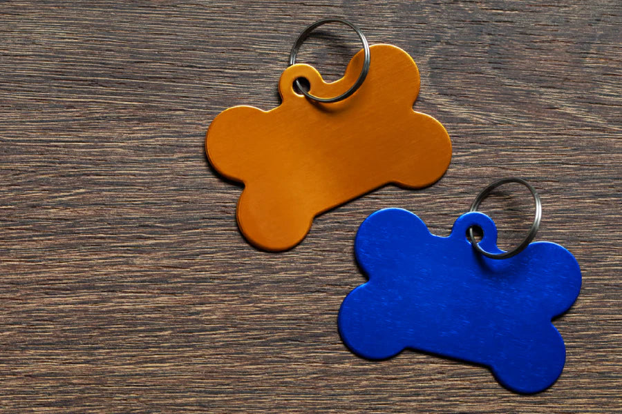 Engraved Stainless Dog Tags