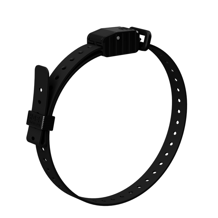 3/4" Replacement E-Collar Strap