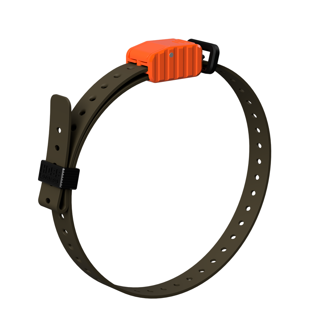 3/4" Replacement E-Collar Strap