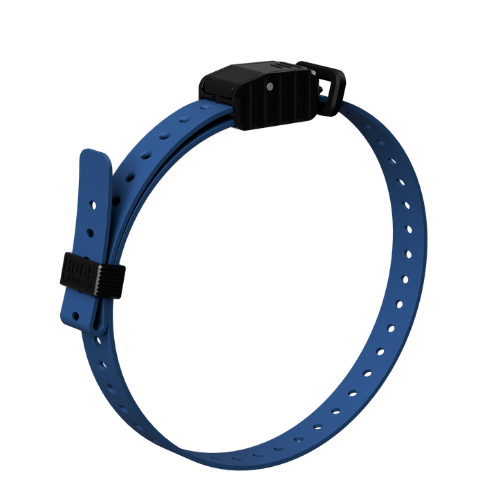 3/4" Replacement E-Collar Strap