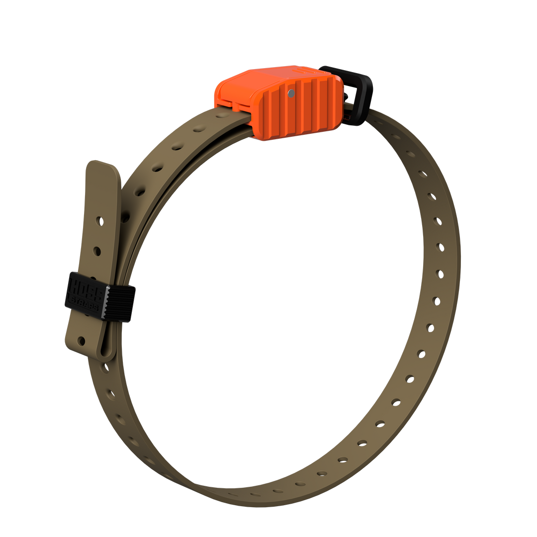 3/4" Replacement E-Collar Strap