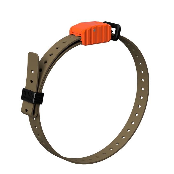 3/4" Replacement E-Collar Strap