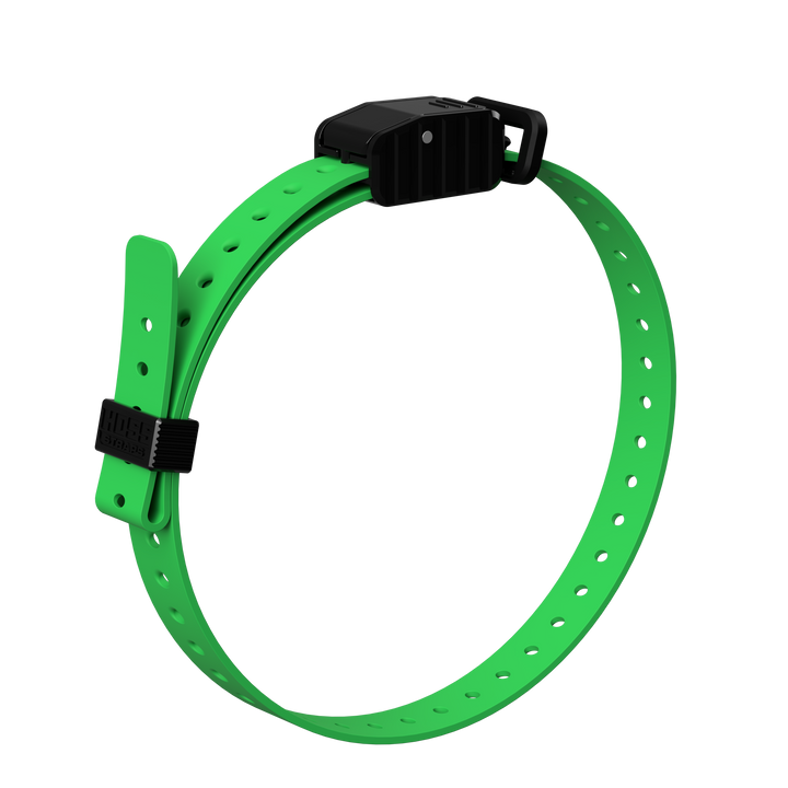 3/4" Replacement E-Collar Strap