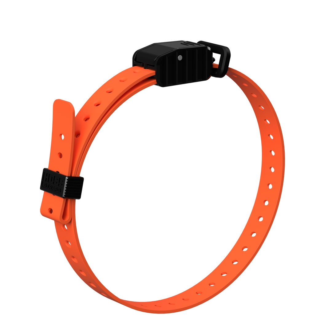 3/4" Replacement E-Collar Strap