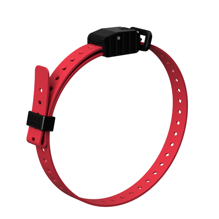 3/4" Replacement E-Collar Strap