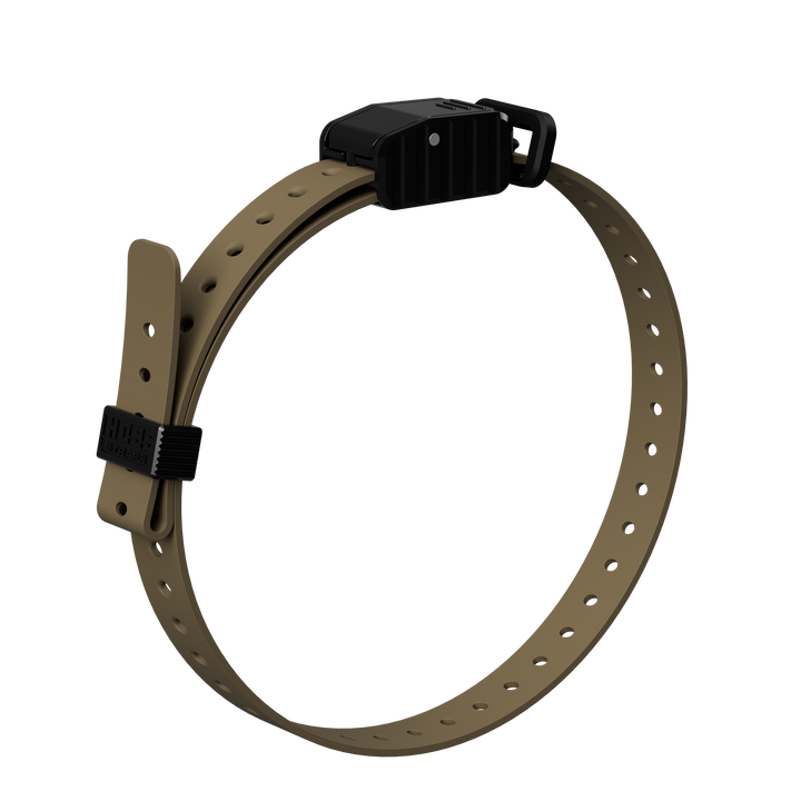 3/4" Replacement E-Collar Strap