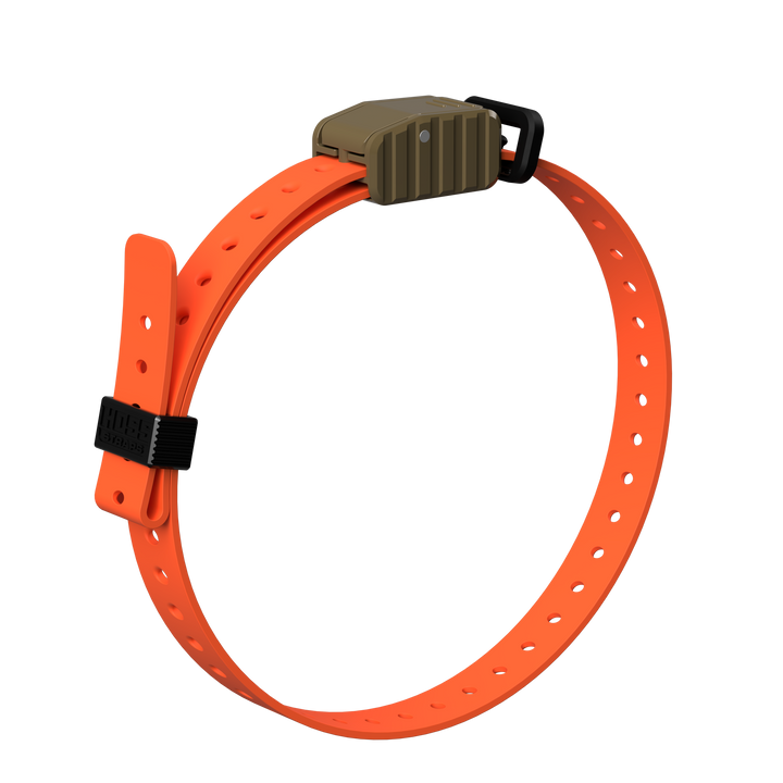 3/4" Replacement E-Collar Strap