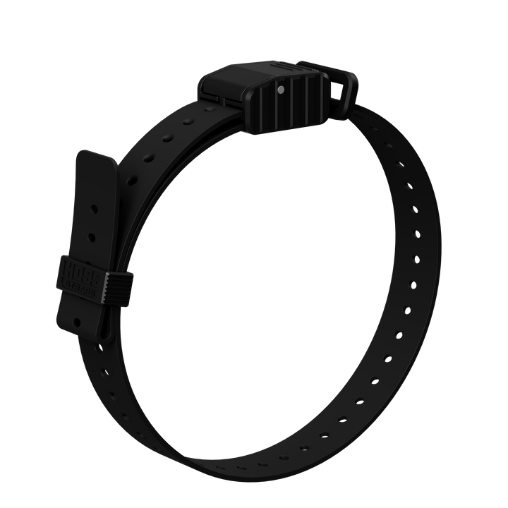 1" Replacement E-Collar Strap