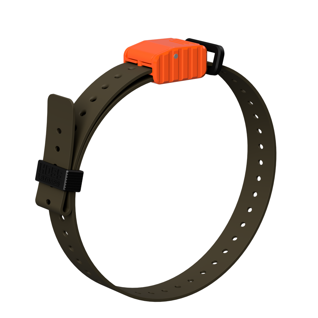 1" Replacement E-Collar Strap