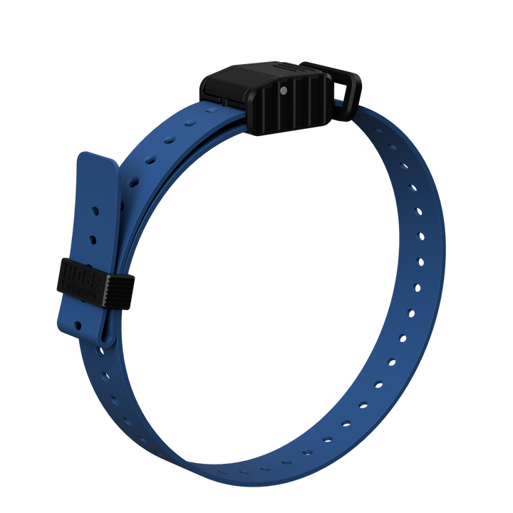 1" Replacement E-Collar Strap