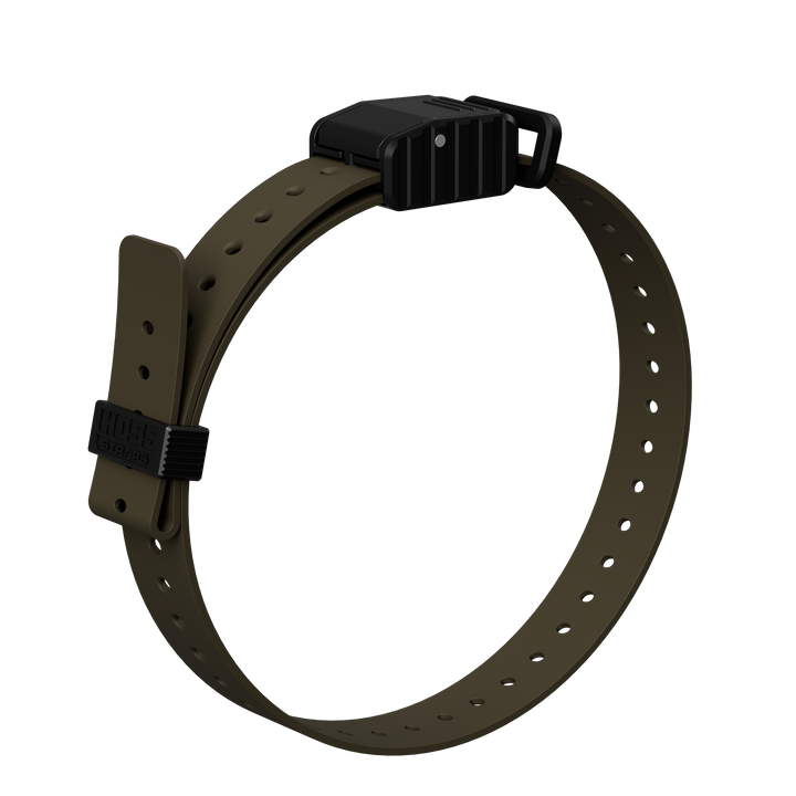 1" Replacement E-Collar Strap
