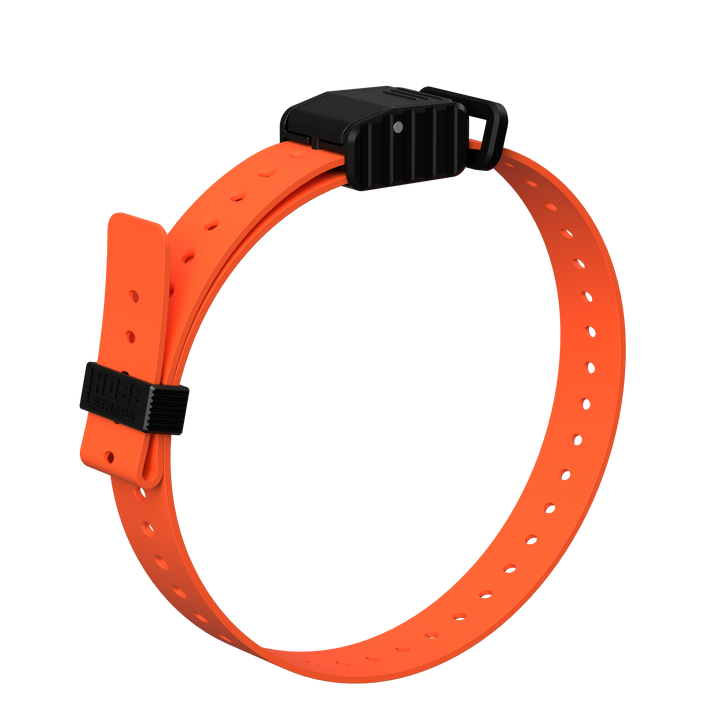 1" Replacement E-Collar Strap