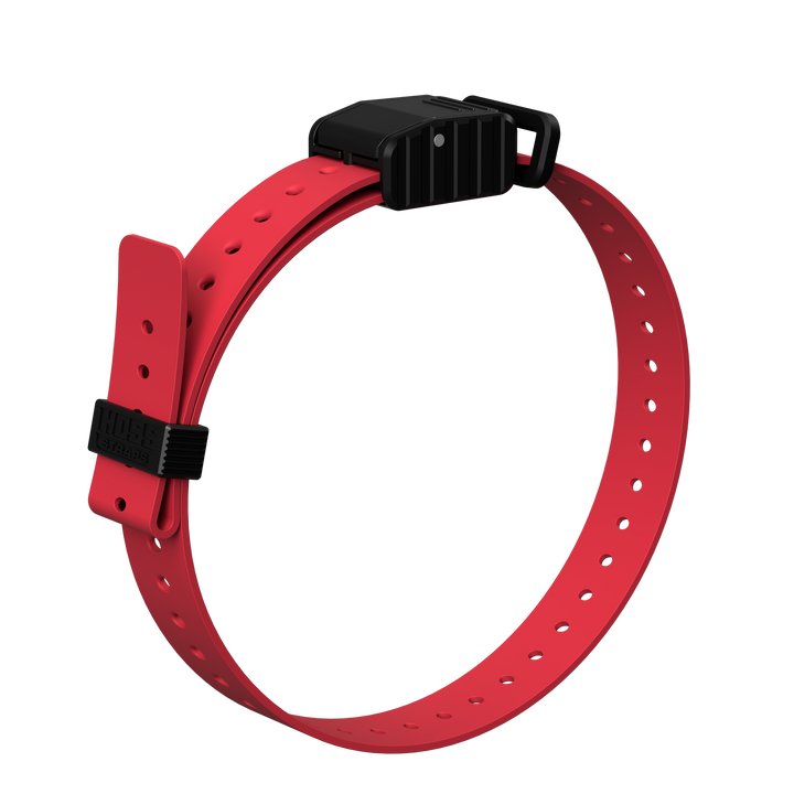 1" Replacement E-Collar Strap
