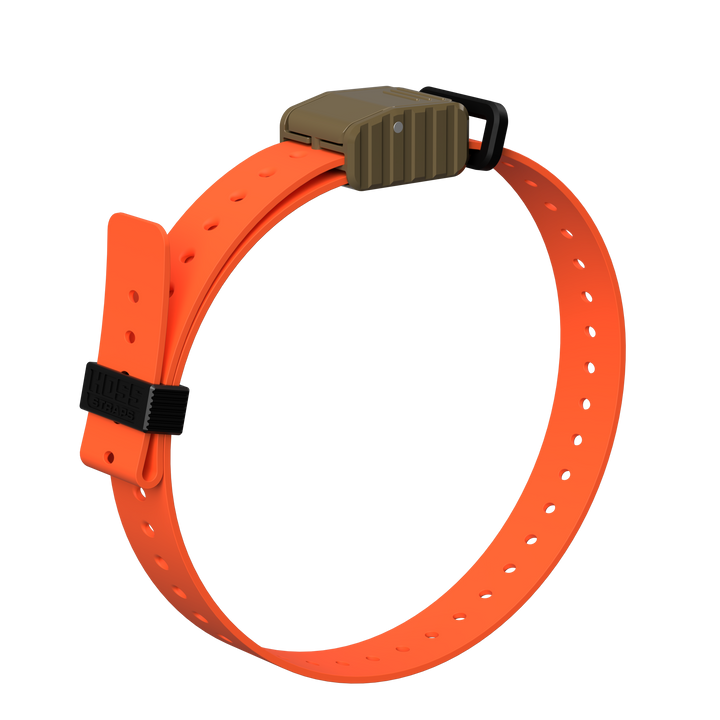1" Replacement E-Collar Strap