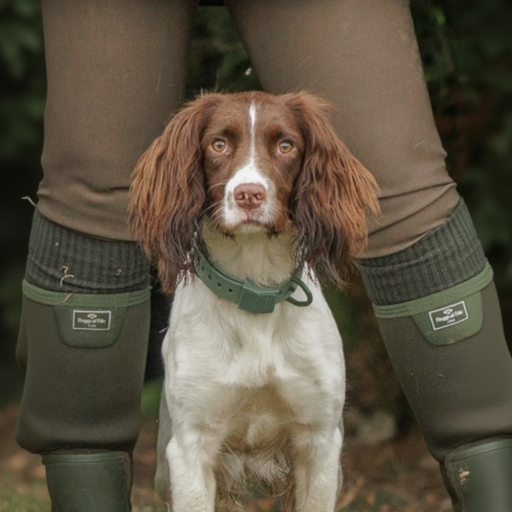 FIELD COLLAR