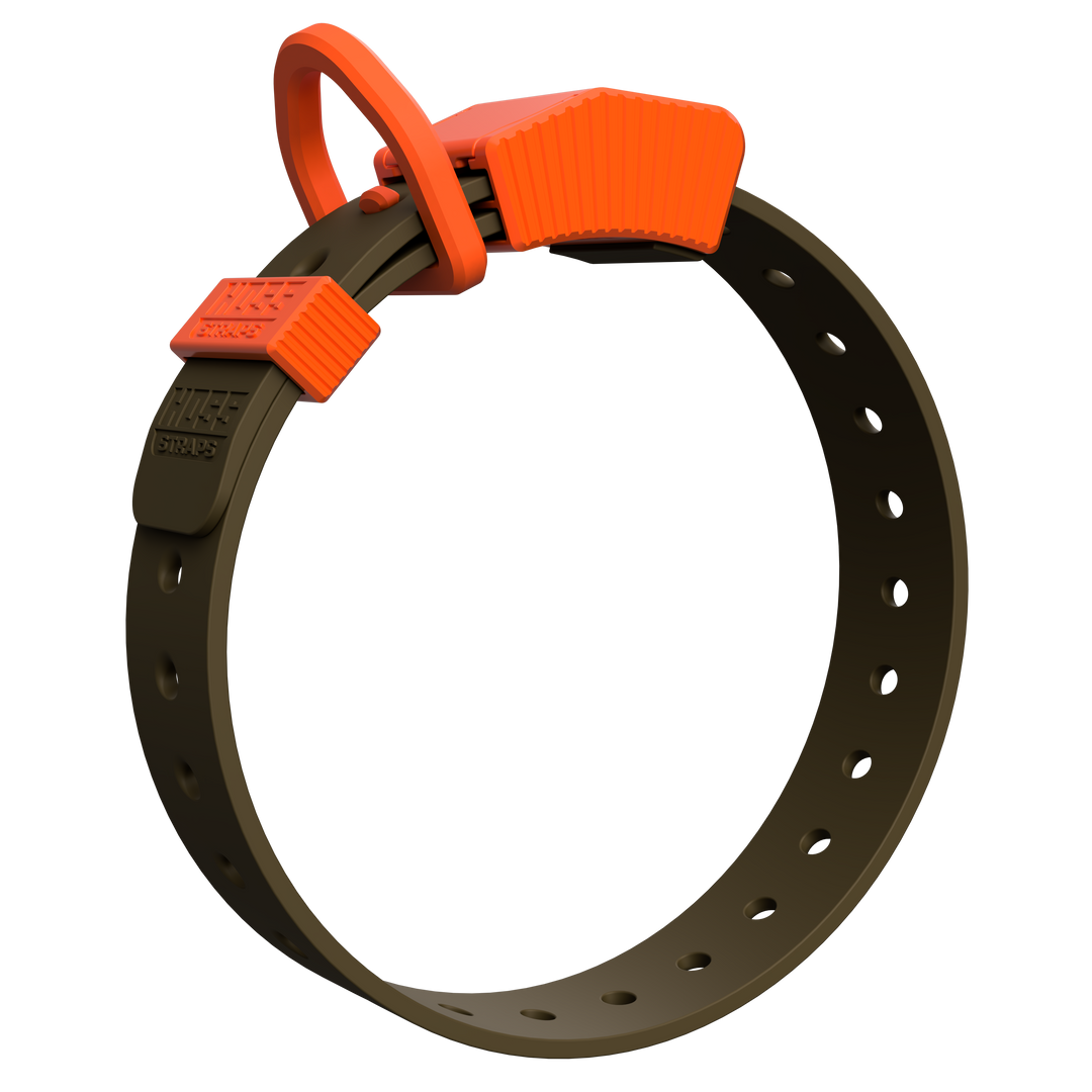 D-Ring Dog Collar