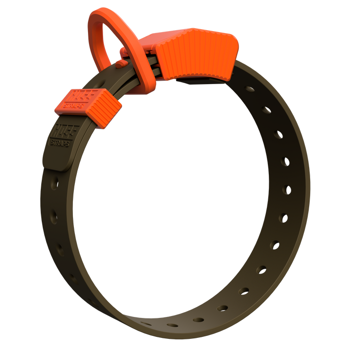 D-Ring Dog Collar