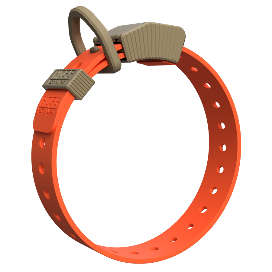 Premium Dog Collars | Order Now | Hoss Straps