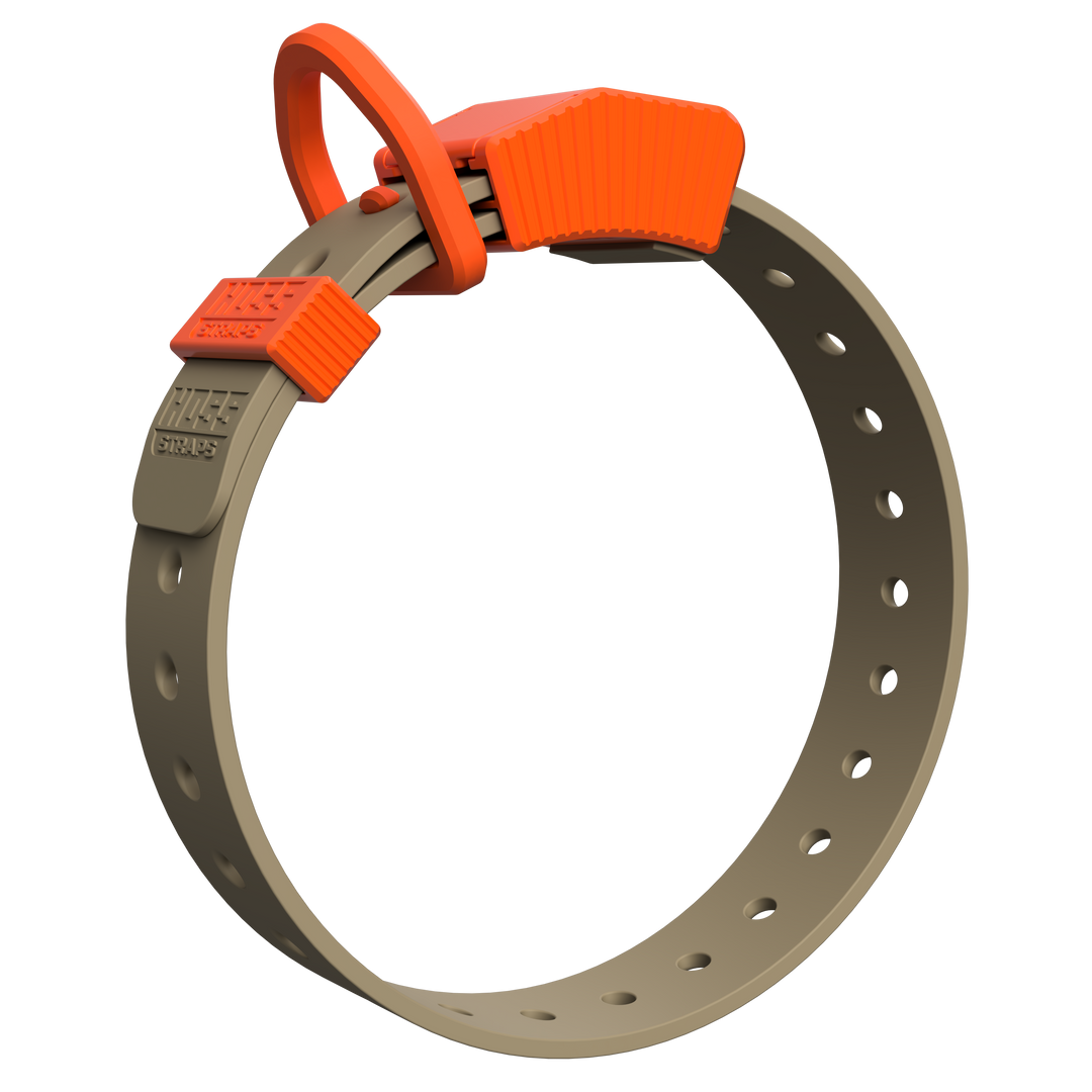 D-Ring Dog Collar