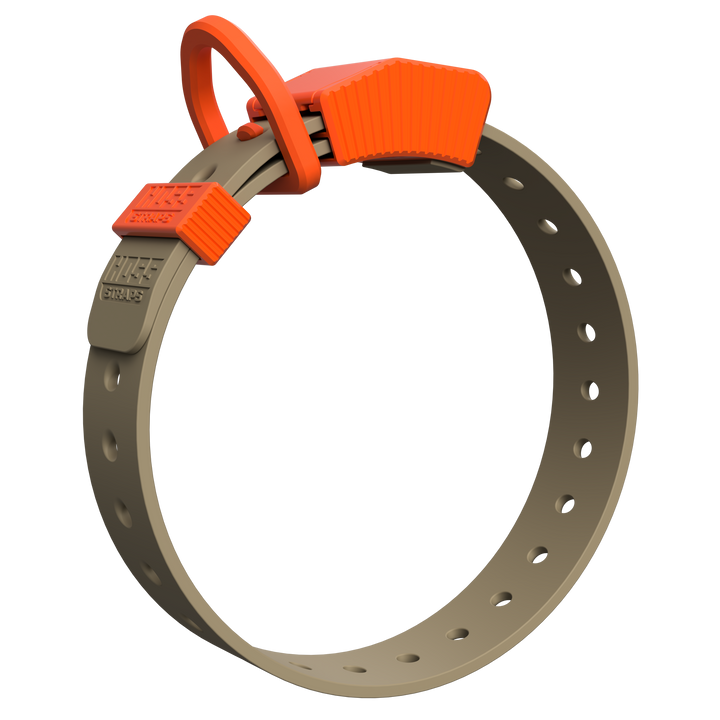 D-Ring Dog Collar