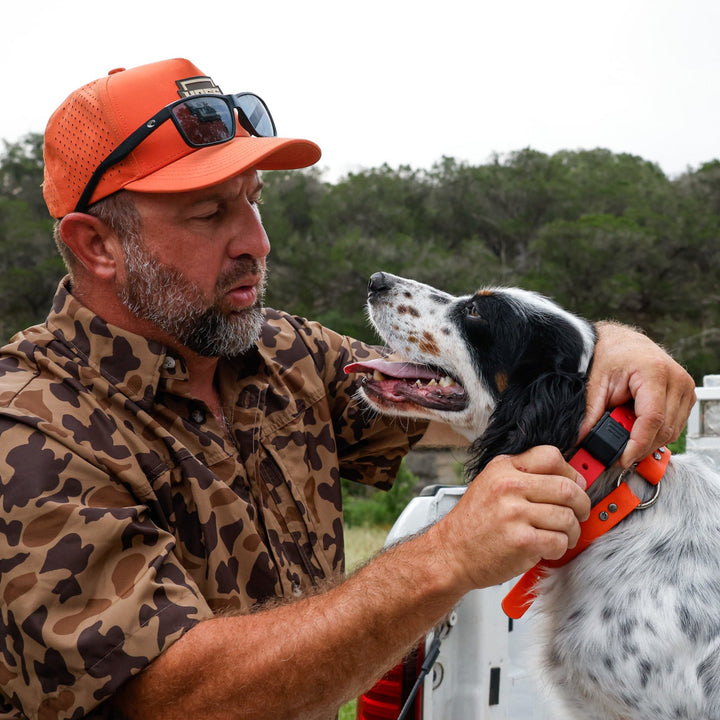 PRO SERIES FIELD COLLAR