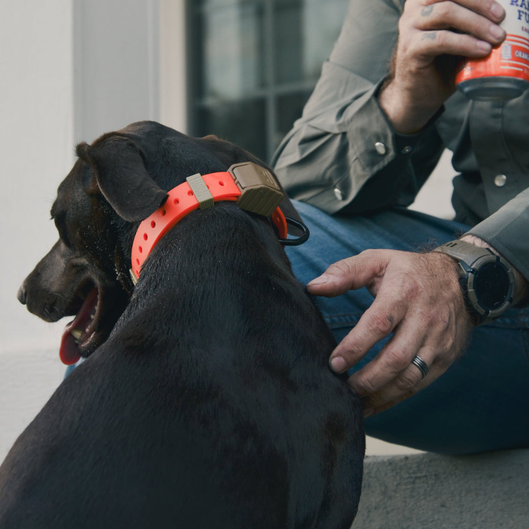 PRO SERIES FIELD COLLAR