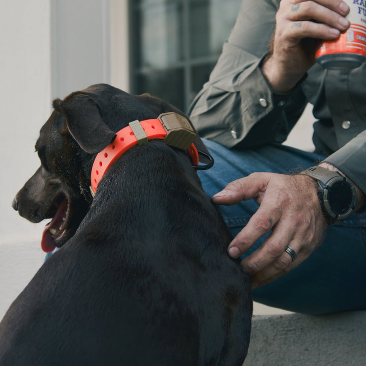 PRO SERIES FIELD COLLAR