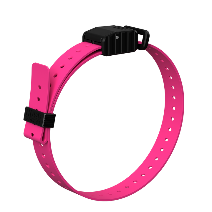 1" Replacement E-Collar Strap