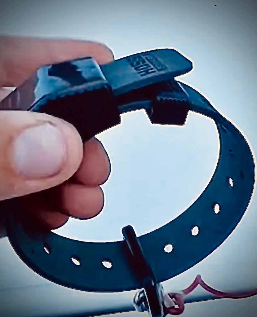 Kill Switch Wristband
