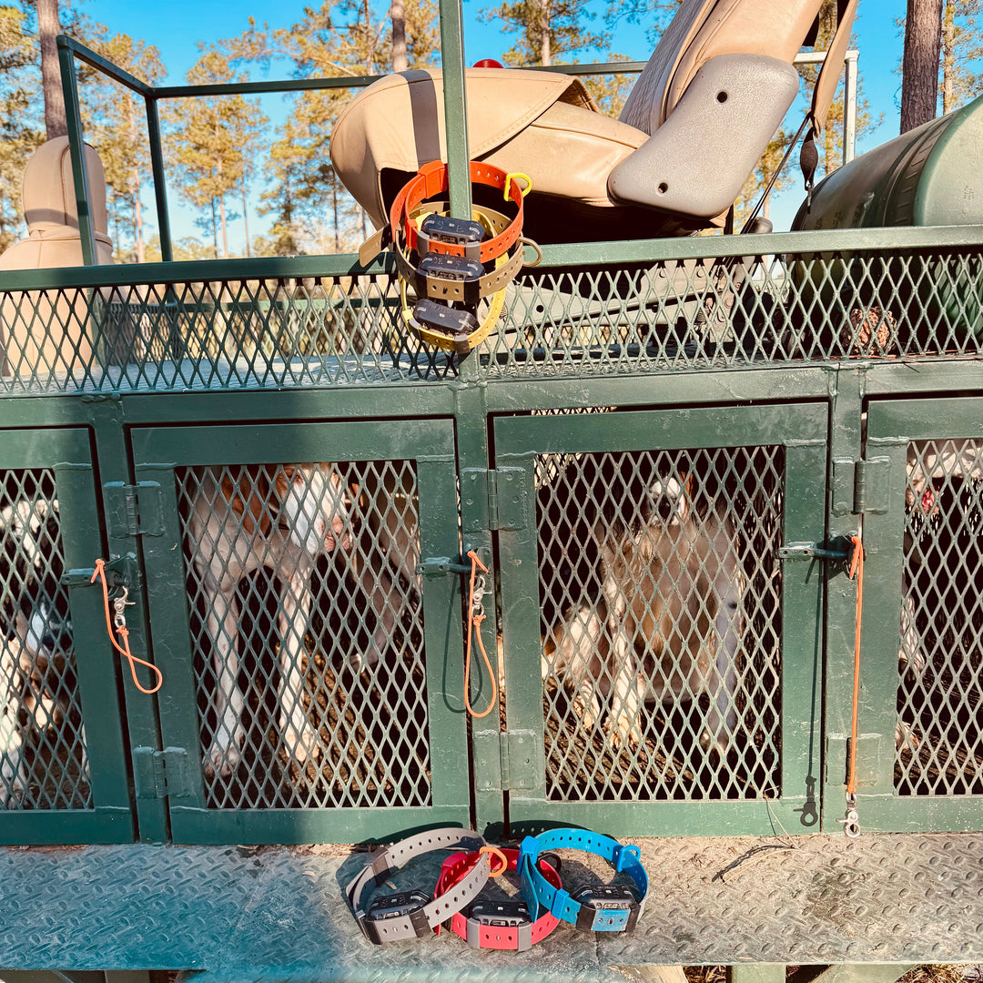 Training Collar Setup