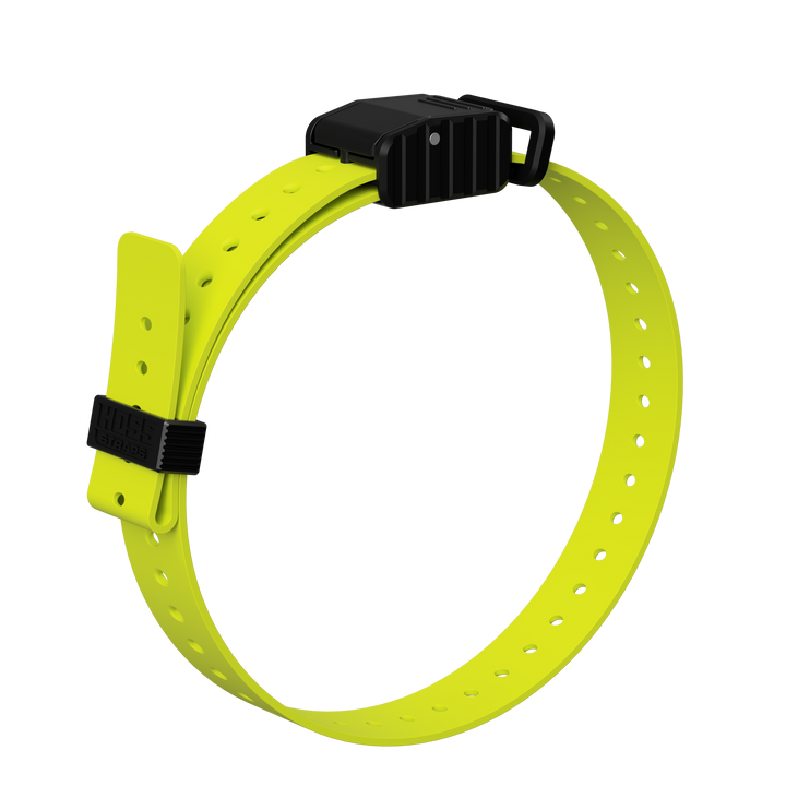1" Replacement E-Collar Strap