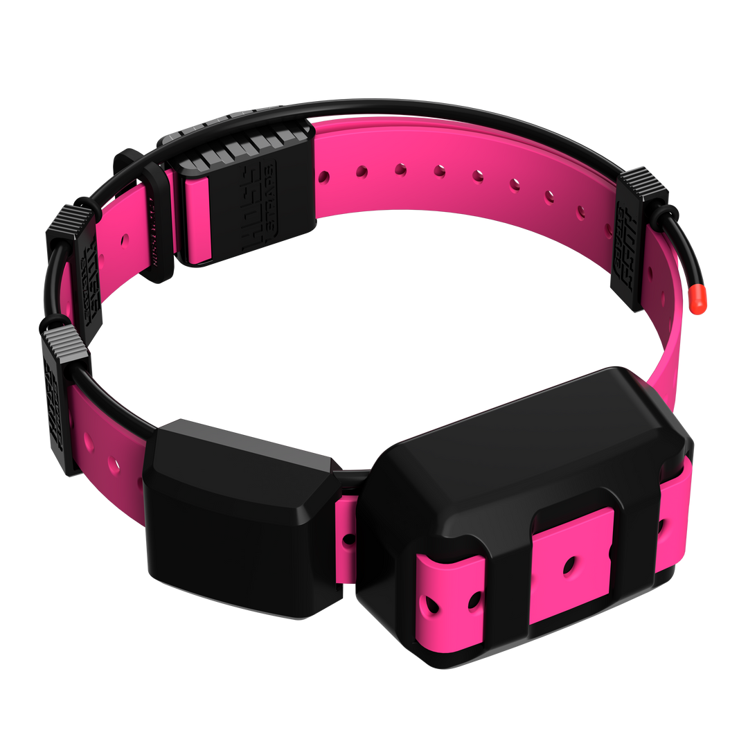 Tracking Collar 1" Replacement Strap Kit