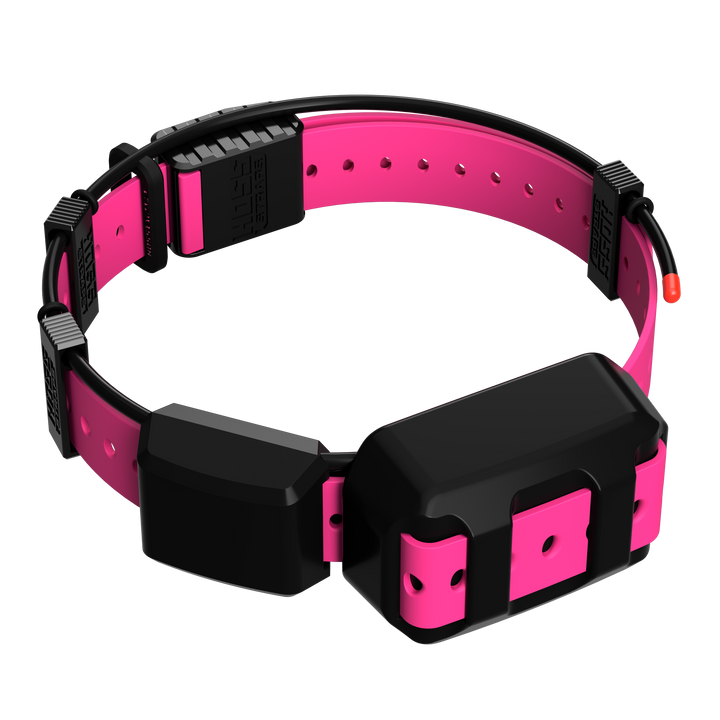 Tracking Collar 1" Replacement Strap Kit