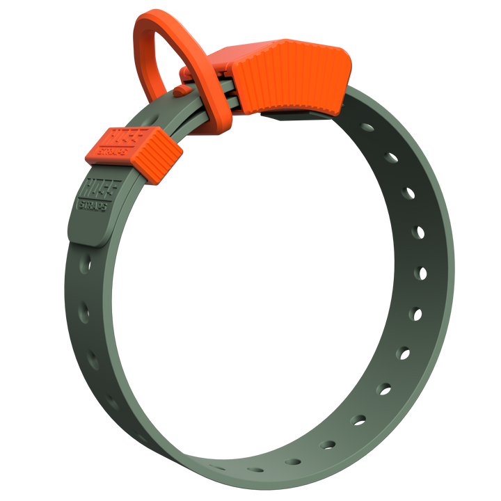 D-Ring Dog Collar