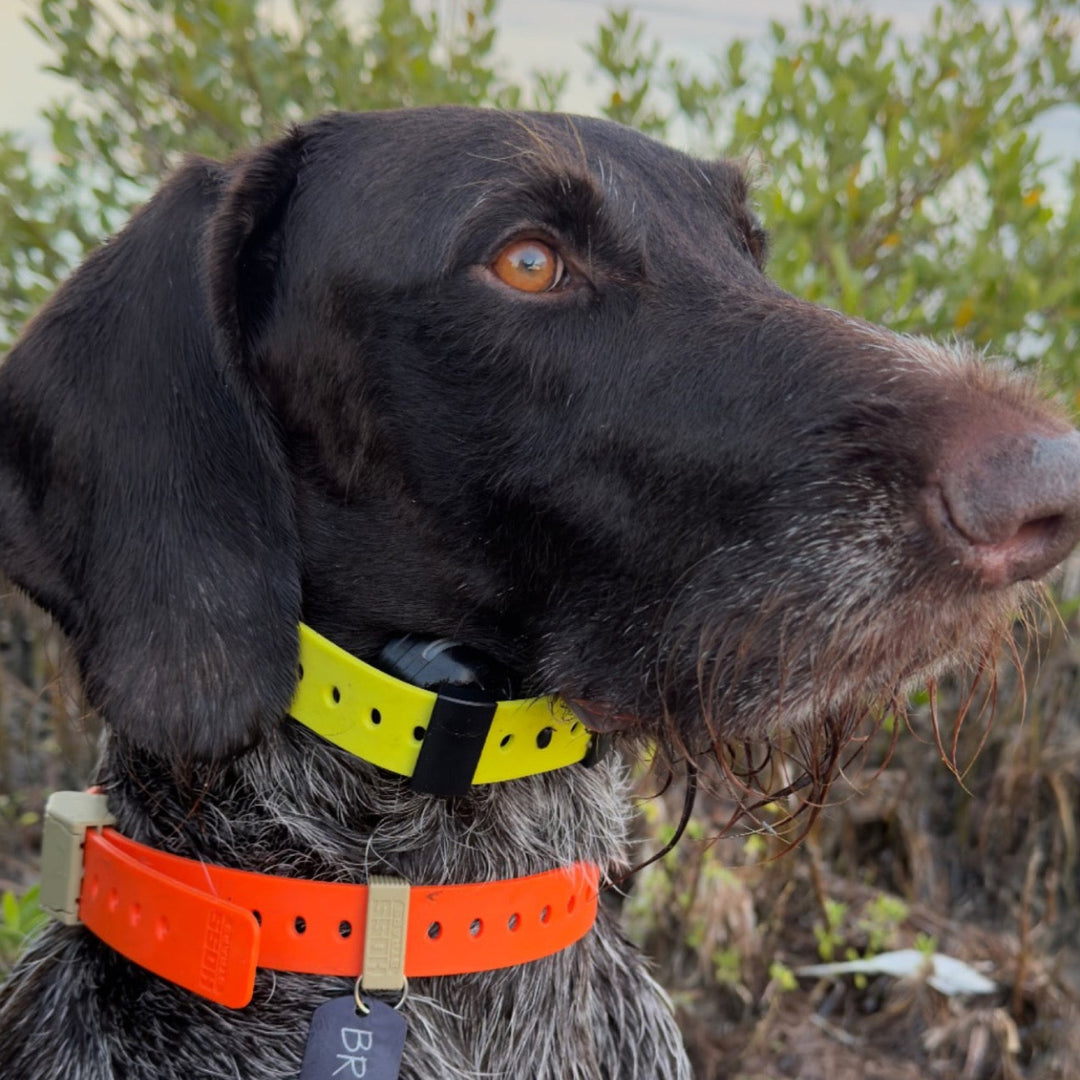FIELD COLLAR