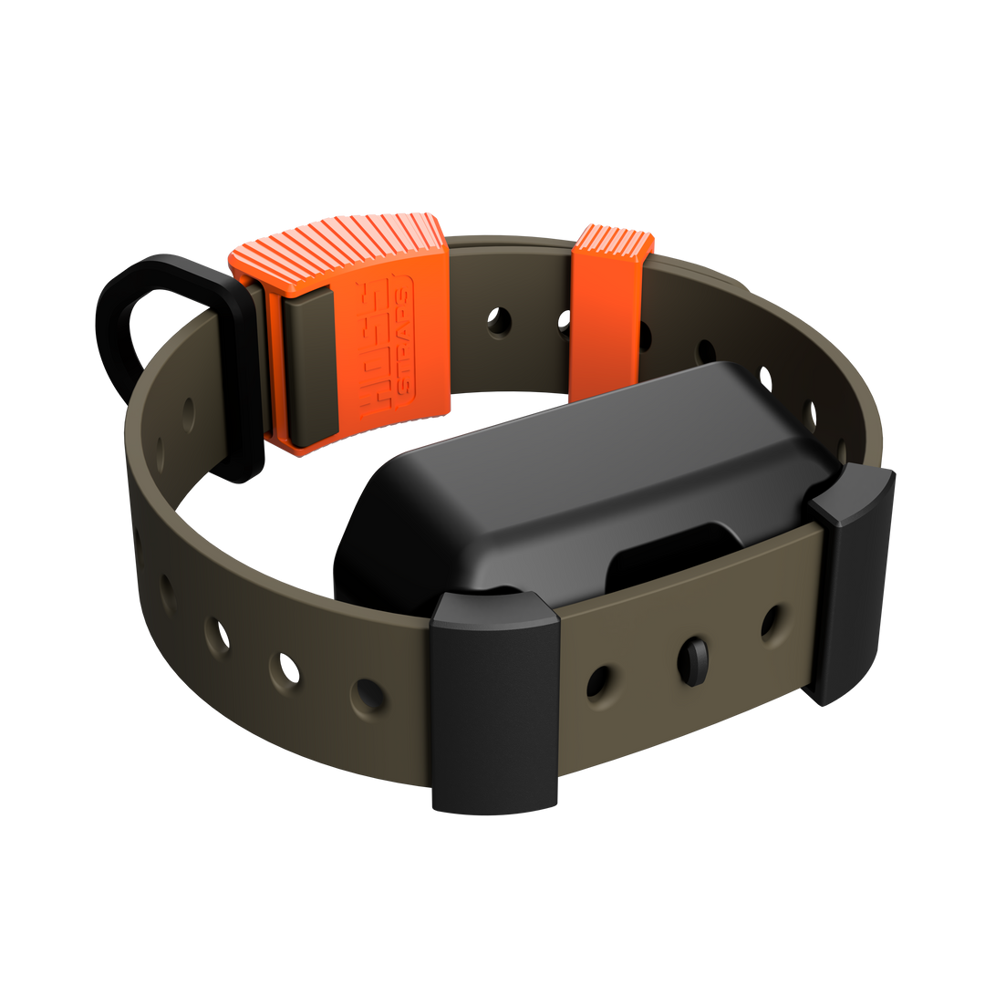 Training Collar Setup